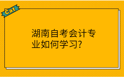 湖南自考會計學習方法