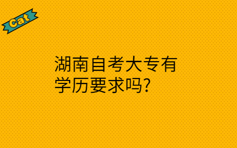 湖南自考大專有學歷要求嗎