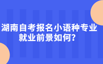 湖南自考報名小語種專業(yè)就業(yè)前景如何？